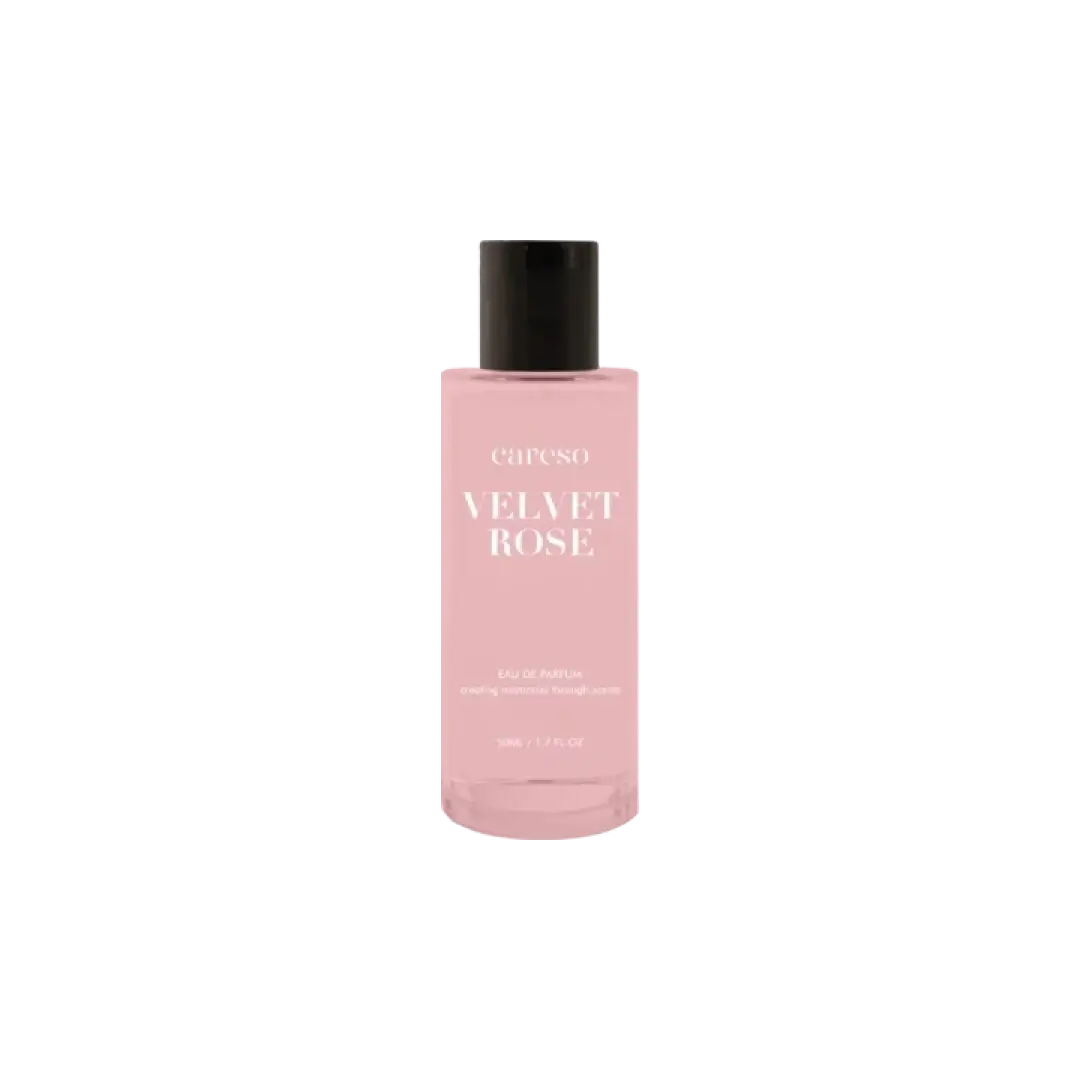 Velvet rose - Rose